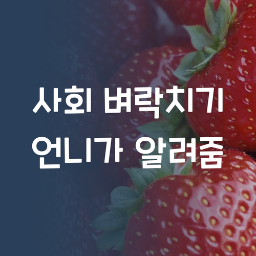 기말고사 사회, 암기 말고 찐 이해! 멘토 언니가 도와줄게!