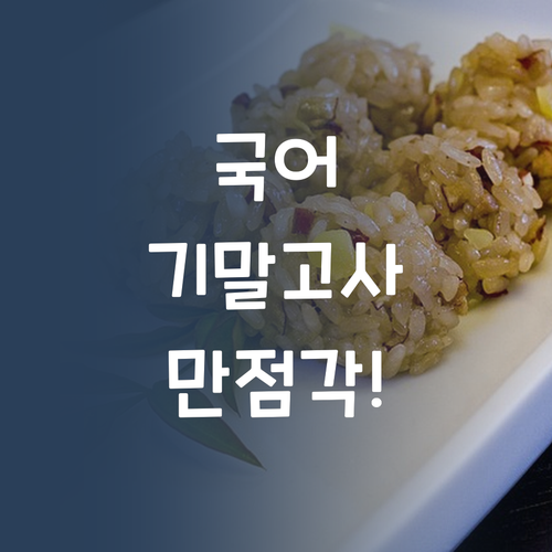 애미야, 국어 점수 짜다! 퍼스널멘토 1:1 과외로 기말 만점 도전?!