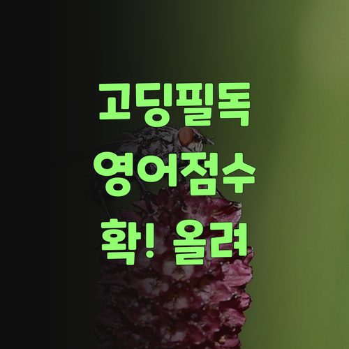 고등학생덜, 퍼스널멘토로 영어 점수 확 올려불자!..