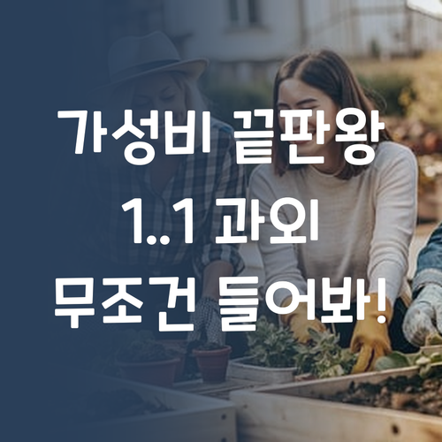 가성비 끝판왕! 퍼스널멘토 1:1 과외 안 하면 손해!