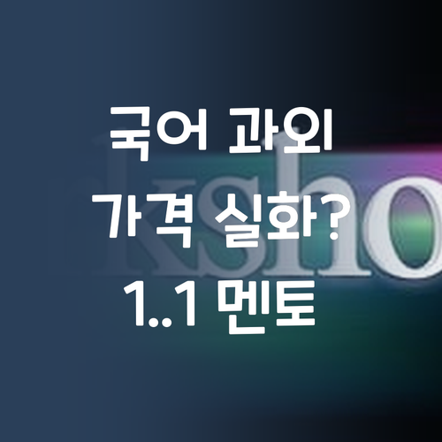 고등 국어, 1:1 과외가 답? 퍼스널멘토 가격 실화?