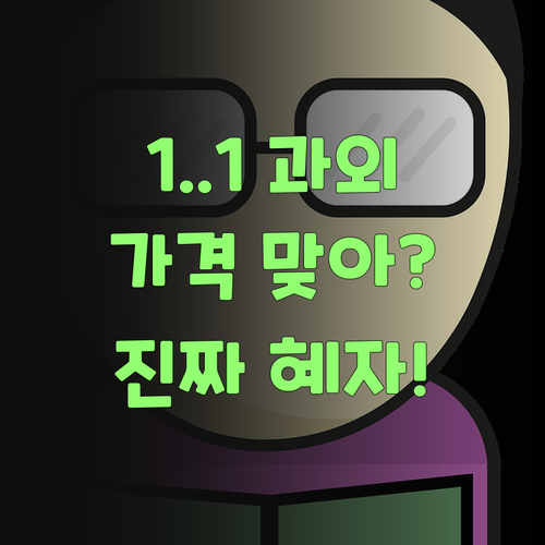 ๐ต 1:1 ๊ณผ์ธ๊ฐ ์ด ๊ฐ๊ฒฉ? ํผ์ค๋๋ฉํ , ์ง์ง ํ์์ค๋ฝ๋ค..