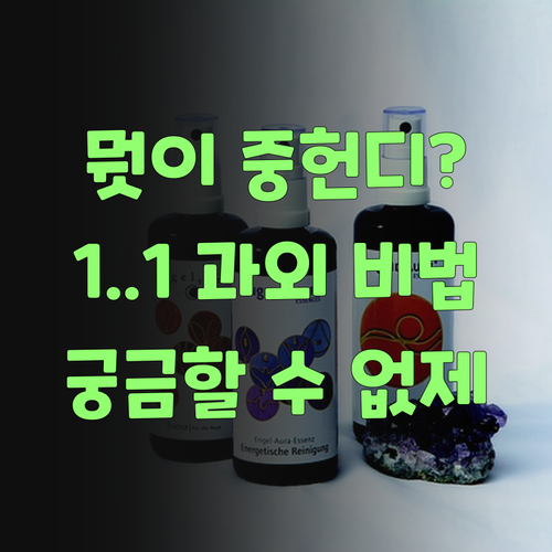 뭣이 중헌디? 퍼스널멘토 1:1 과외 비법, 안 궁금할 수가 없제..