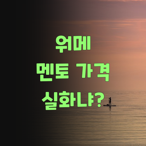 워메, 퍼스널멘토 가격이 이렇게 착해도 되는 거여?