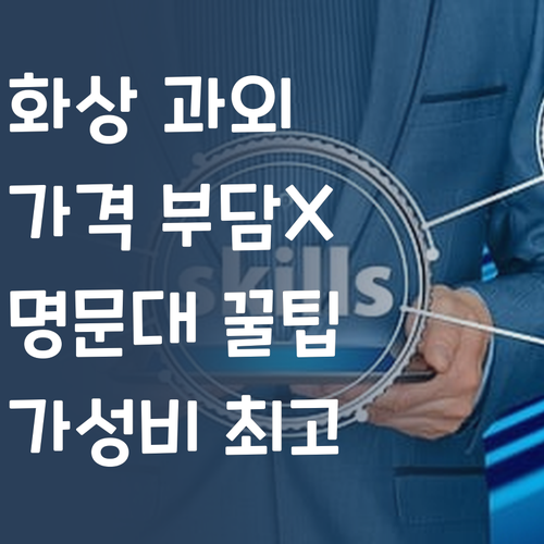 1:1 화상 과외, 가격 부담 NO! 명문대 멘토가 알려주는 진짜 가성비 꿀팁