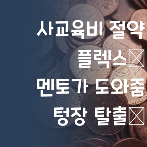 사교육비 아껴서 FLEX 해버리기! 퍼스널멘토가 도와드려요! 😜