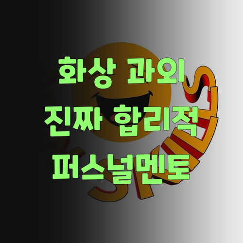 1:1 화상 과외, 비싸다고? 퍼스널멘토는 진짜 합리적이랑께..
