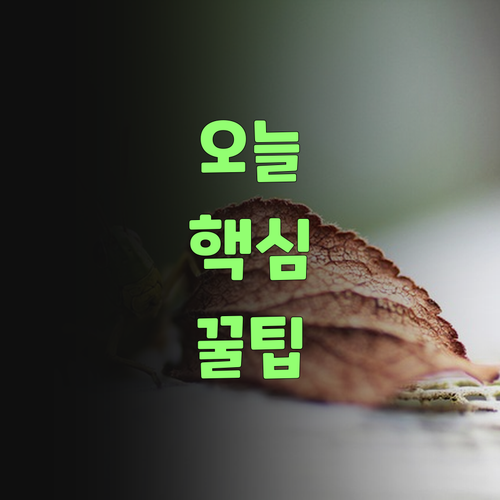 수학 때문에 골치? 퍼스널멘토 믿고 광명 찾았당께..