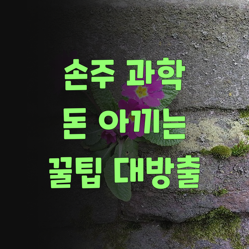 우리 손주 과학 공부, 돈 아끼고 효과는 2배! 💰..