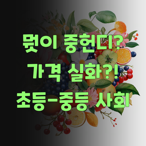 뭣이 중헌디? 퍼스널멘토로 초등-중등 사회, 이 가격 실화여?..