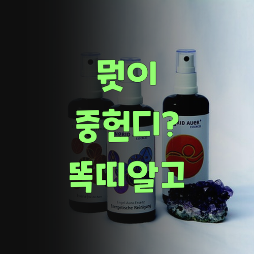 뭣이 중헌디? 퍼스널멘토 가격 똑띠 알고, 사교육비 아껴쓰랑께..