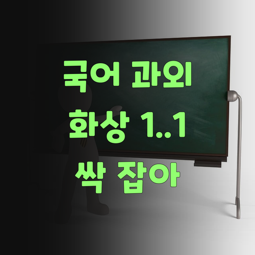 아그들 국어, 비싼 과외 말고 1:1 화상 과외로 싹 잡아부러..