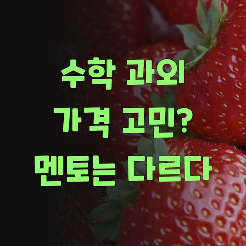 고등수학 과외, 가격 때문에 망설였능가? 퍼스널멘토는 다르다!..