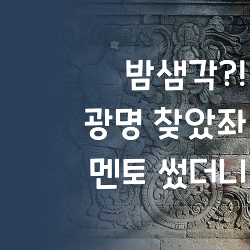 애 사회 땜에 밤샘각? 퍼스널멘토 쓰고 광명 찾았좌!