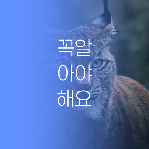 공부, 이제 멘토에게 맡겨봐! 30대 쌤이 알려주는 화상 과외 효과! 🥰