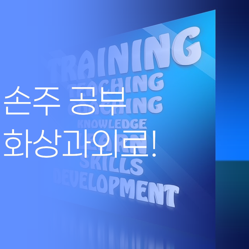남구 대연동 손주 공부, 퍼스널멘토 1:1 화상과외로 싹 잡아부러!..