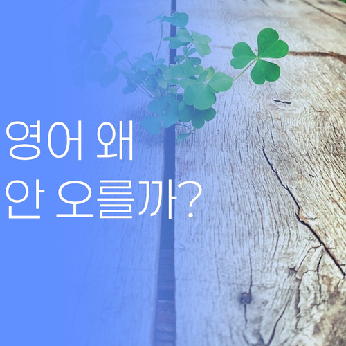 우리 애 영어, 왜 안 오를까? 30대 멘토의 맞춤 코칭 비법!