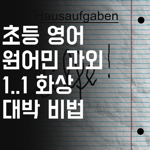 초등 영어, 이젠 원어민이랑 1:1 화상 과외?! 대박!