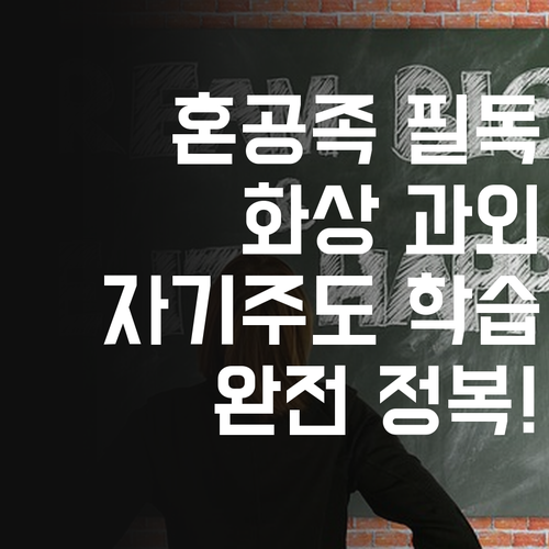 혼공족 필독 퍼스널멘토 화상과외로 자기주도학습 완전 정복!