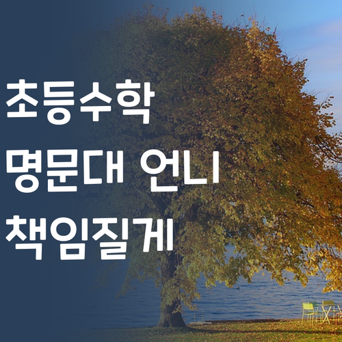초등수학? 퍼스널멘토만 믿어봐! 명문대 언니가 책임질게