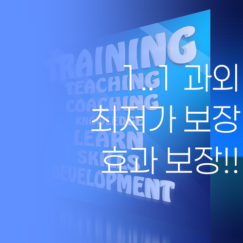 최저가 1:1 과외! 수원 퍼스널멘토, 학원보다 효과적?