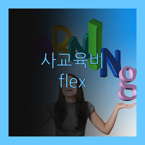 사교육비 아껴서 flex 해버리기? 퍼스널멘토 비법 대공개!