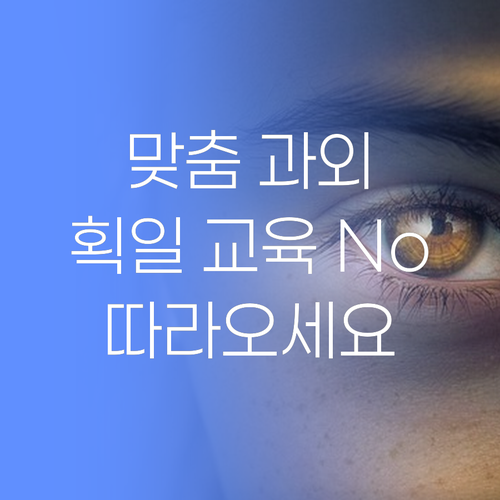 더 이상 획일적인 교육은 No! 맞춤 과외가 답입니다.. 따라오세요!