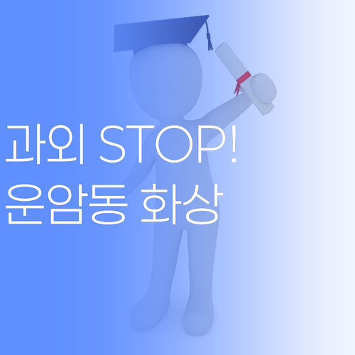 비싼 과외는 이제 그만! 운암동 가성비 1:1 화상과외!