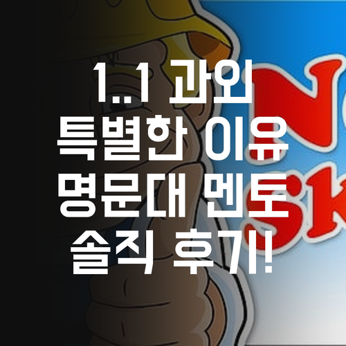 1:1 영어 과외, 왜 특별할까? 명문대 멘토의 솔직 후기!