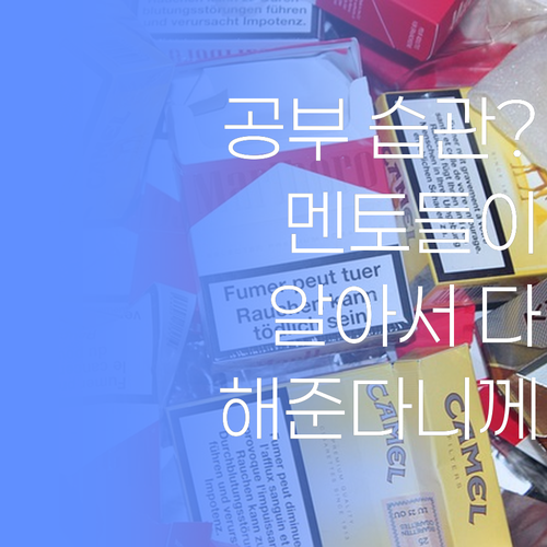 공부 습관? 퍼스널멘토 멘토들이 알아서 다 해준다니께..