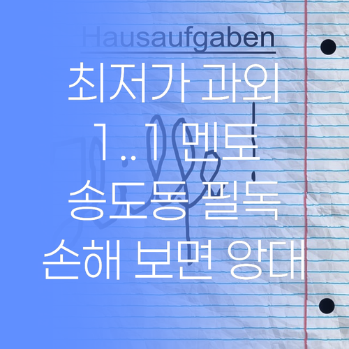 최저가 1:1 과외? 송도동 퍼스널멘토, 안 들으면 손해랑께..