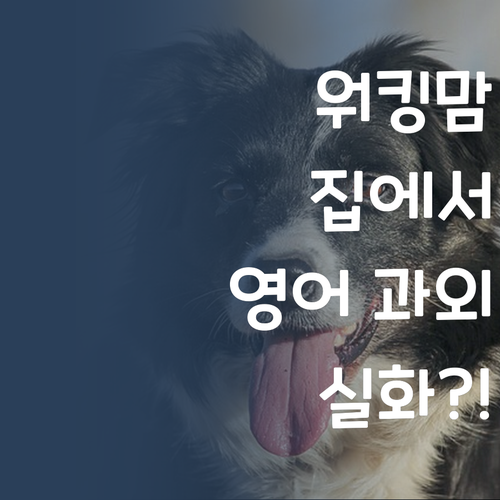 바쁜 엄마도 OK! 집에서 1:1 영어 과외, 실화임?