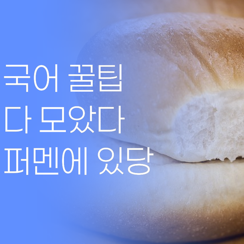 국어 실력 올리는 비법? 퍼스널멘토에 다 있당께..
