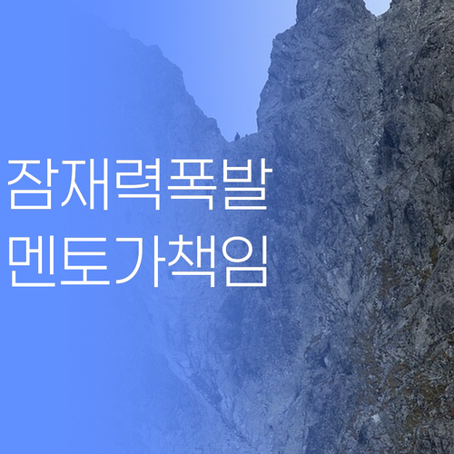 우리 애 잠재력 폭발! 퍼스널멘토가 책임진다니께..