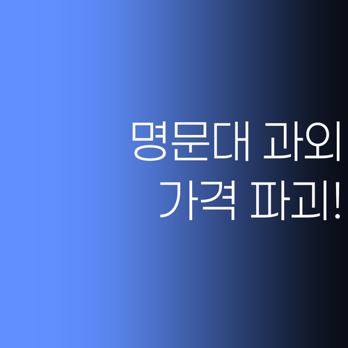 문화동 학부모님께 드리는 희소식! 명문대 멘토의 1:1 과외, 가격 파괴..!