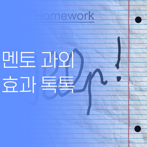 워매, 우리 애가 달라졌어요! 주월1동 멘토 과외 효과 톡톡히 봤다니까..