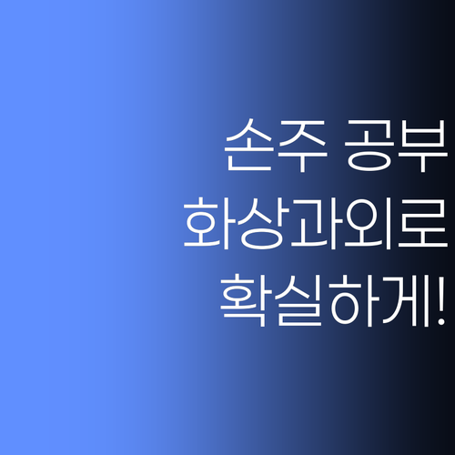 우리 손주 공부, 비싼 학원 말고 퍼스널멘토 화상과외로 끝내자!..