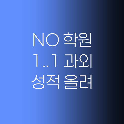 비싼 학원 NO! 가성비 1:1 과외로, 우리 애 성적 올려볼까? 🤔