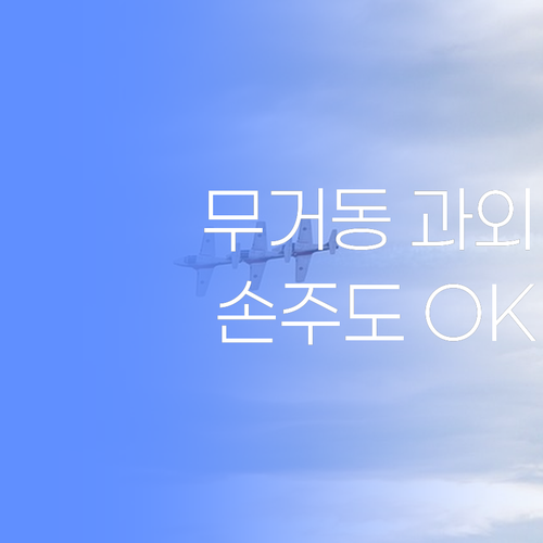무거동 손주 과외, 퍼스널멘토 1:1 화상과외가 딱이여..