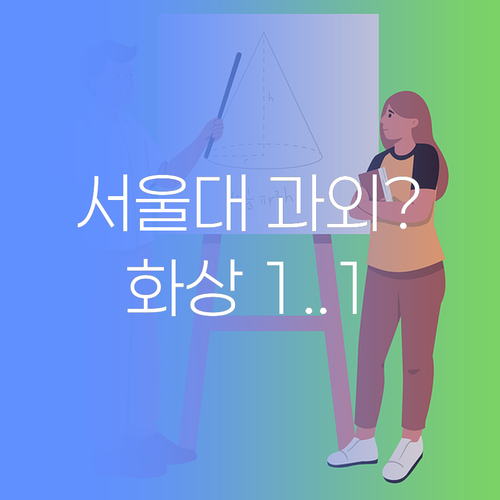 서울대 과외? NO! 이젠 가성비 1:1 화상과외 시대!