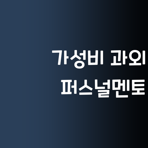 비싼 과외는 이제 그만! 퍼스널멘토 가성비 1:1 과외!