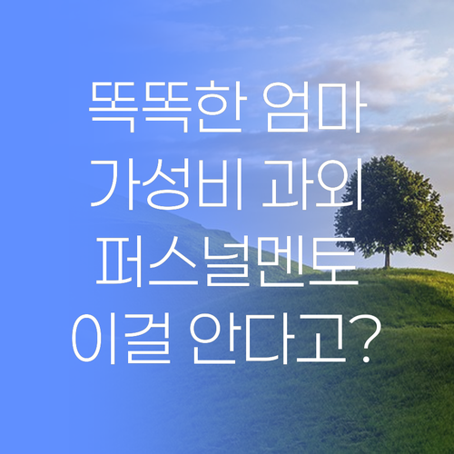 똑똑한 엄마는 안다! 퍼스널멘토, 가성비 최고 과외여..