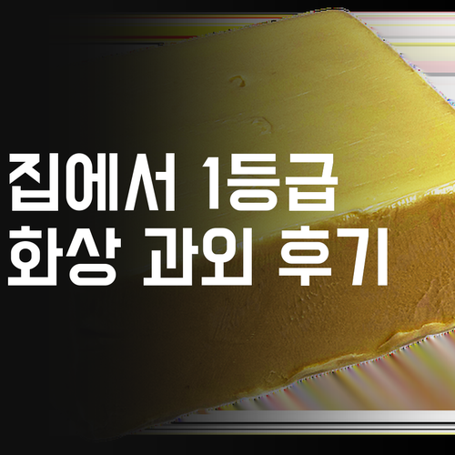집에서 1등급? 초등 화상 과외 리얼 후기
