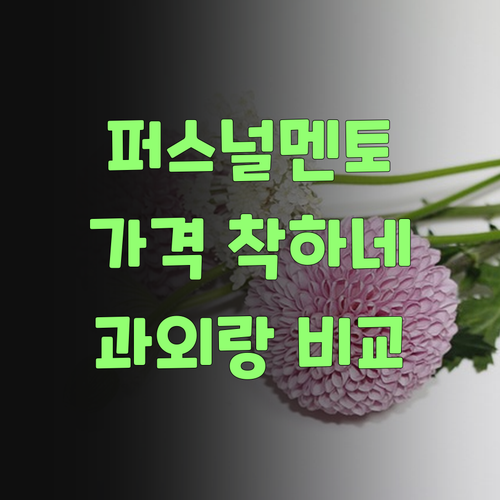 아따, 퍼스널멘토 가격이 글케 착하다는디! 비싼 과외랑 비교해보랑께..