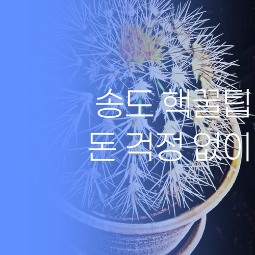 송도 핵꿀팁! 공부, 이제 돈 걱정 없이 하자! 💰
