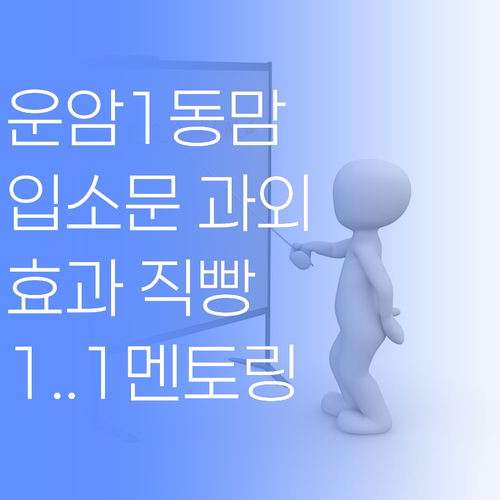 운암1동 맘들 사이 입소문! 퍼스널멘토 1:1 과외 효과 직빵이래..