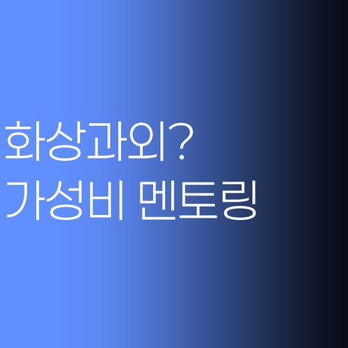 화상과외, 비싸기만 하다구요? 😱 No! 가성비 끝판왕 멘토링!