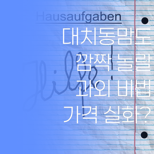 대치동 엄마도 울고 갈 😲 1:1 맞춤 과외 비법, 가격 실화?!