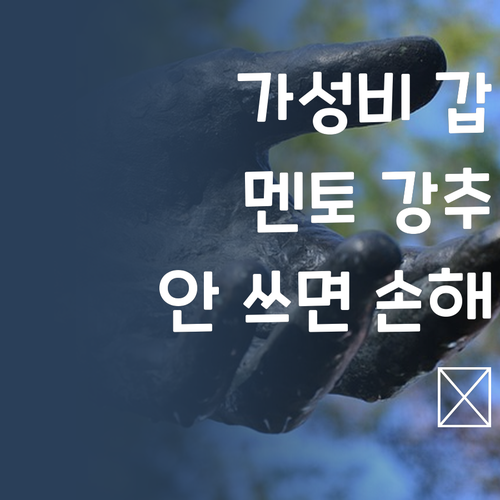 가성비 갑! 퍼스널멘토, 안 쓰면 진짜 손해라구요~ 😜