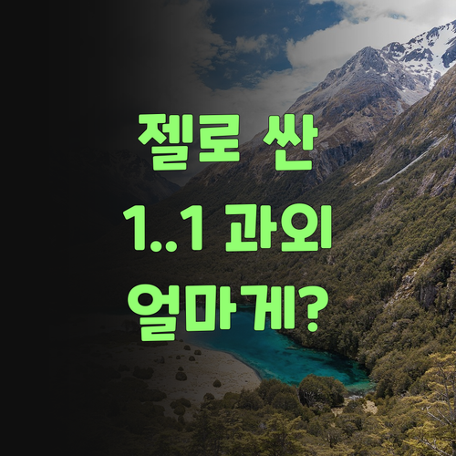 젤로 싼 1:1 화상과외 찾았소? 퍼스널멘토 가격 듣고 깜짝 놀랐당께..